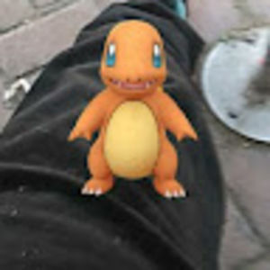 Meet your Posher, Bobby